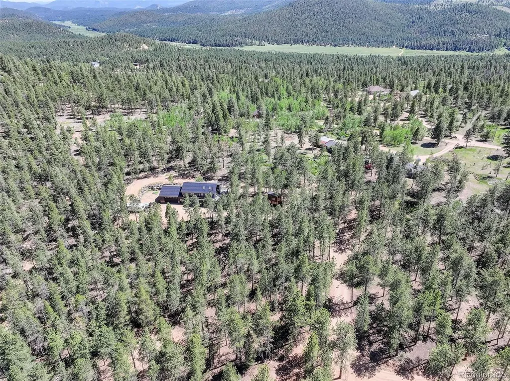 858 Forest Drive Bailey CO 80421