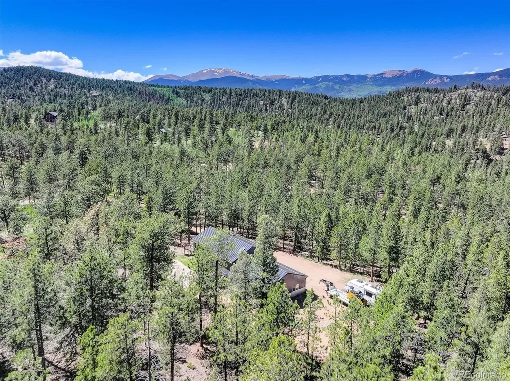 858 Forest Drive Bailey CO 80421