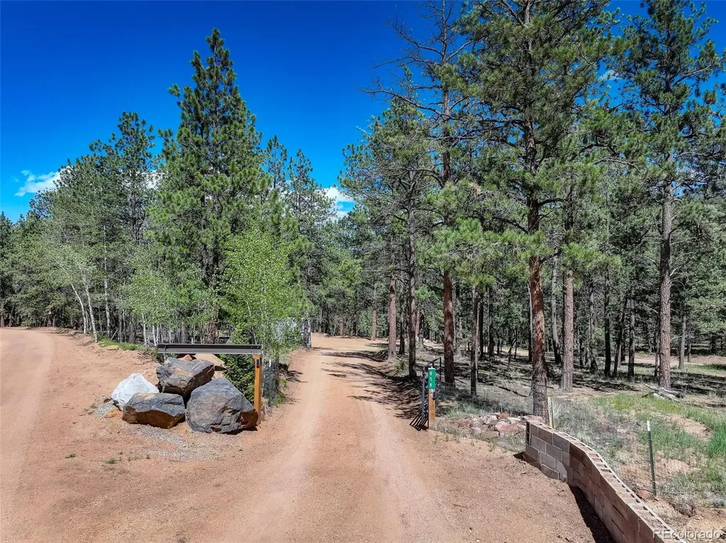 858 Forest Drive Bailey CO 80421