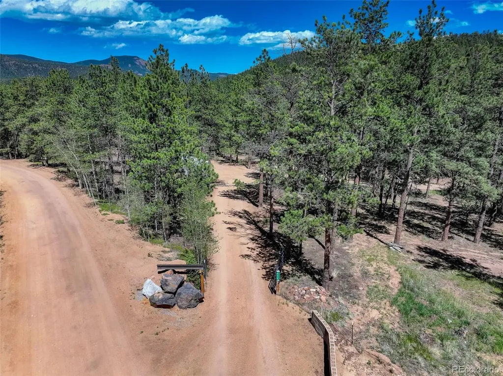 858 Forest Drive Bailey CO 80421