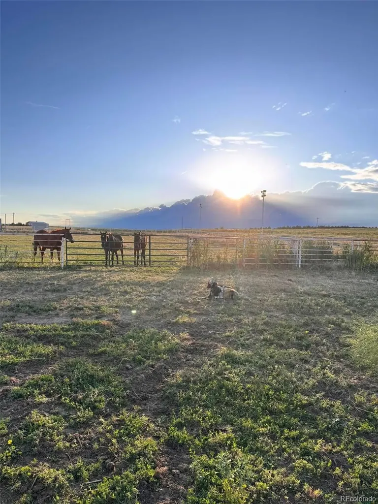 6450 County Road 181 Byers CO 80103