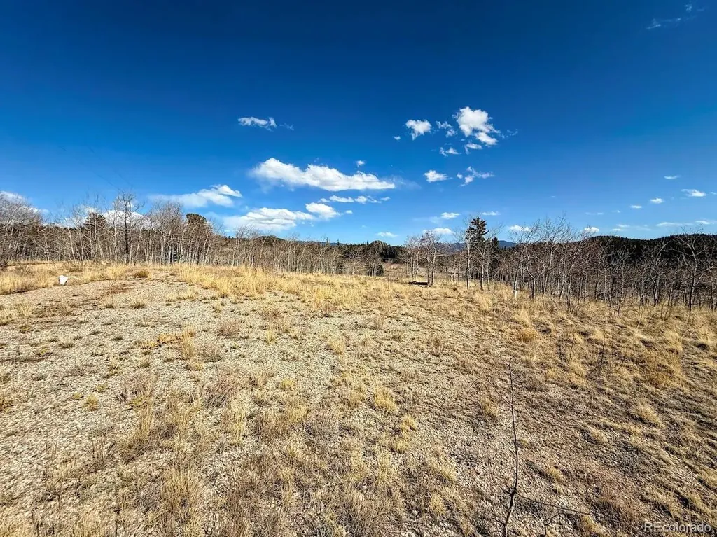 1238 Overland Circle Jefferson CO 80456