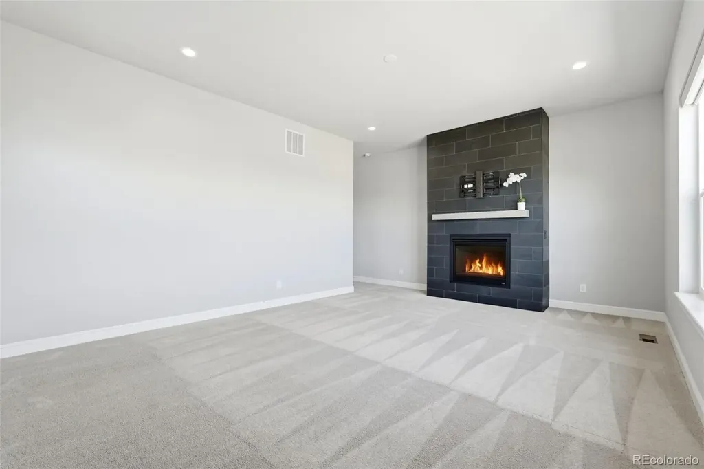 851 Alumroot Street Castle Rock CO 80104