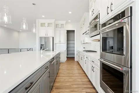 851 Alumroot Street Castle Rock CO 80104