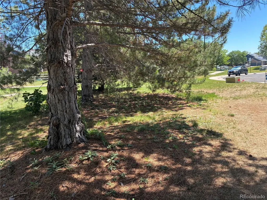 4187 E 134th Drive Thornton CO 80241