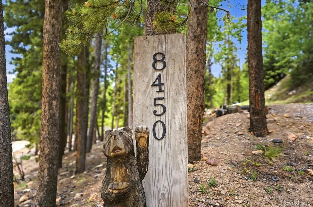 8450 London Lane Conifer CO 80433