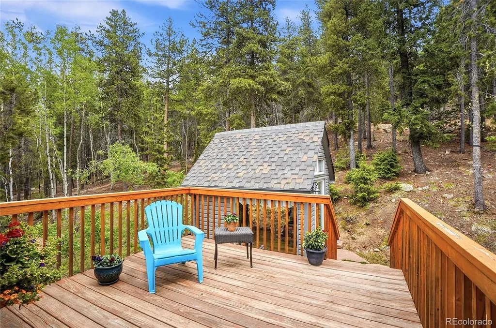 8450 London Lane Conifer CO 80433
