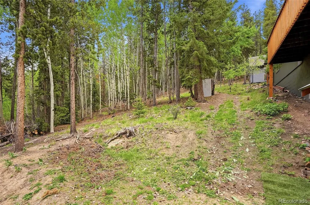 8450 London Lane Conifer CO 80433