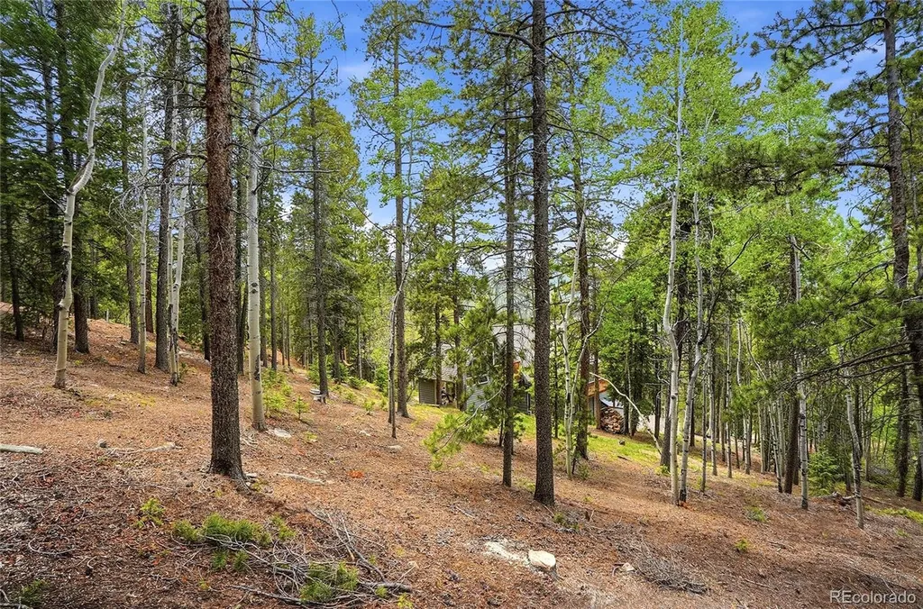 8450 London Lane Conifer CO 80433