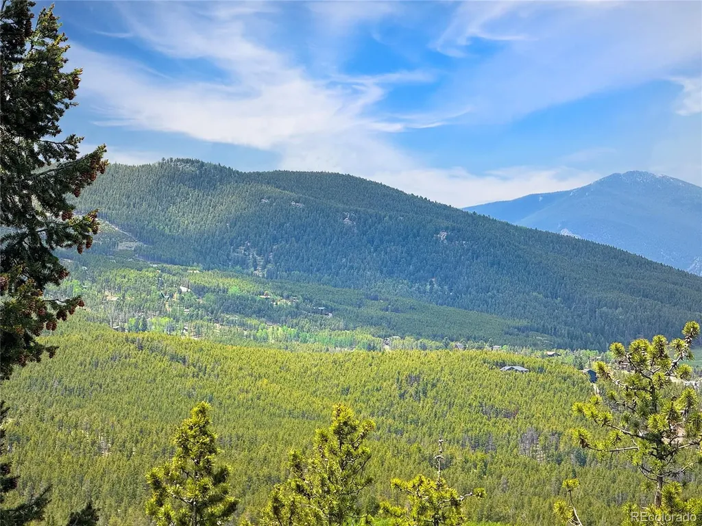 8450 London Lane Conifer CO 80433