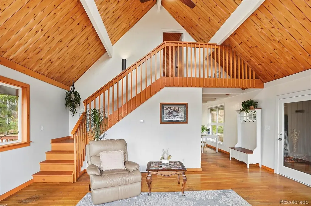 8450 London Lane Conifer CO 80433
