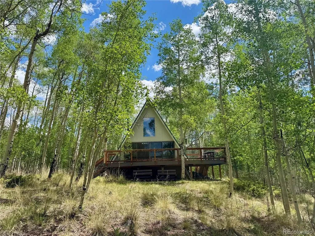 206 Empire Circle Leadville CO 80461