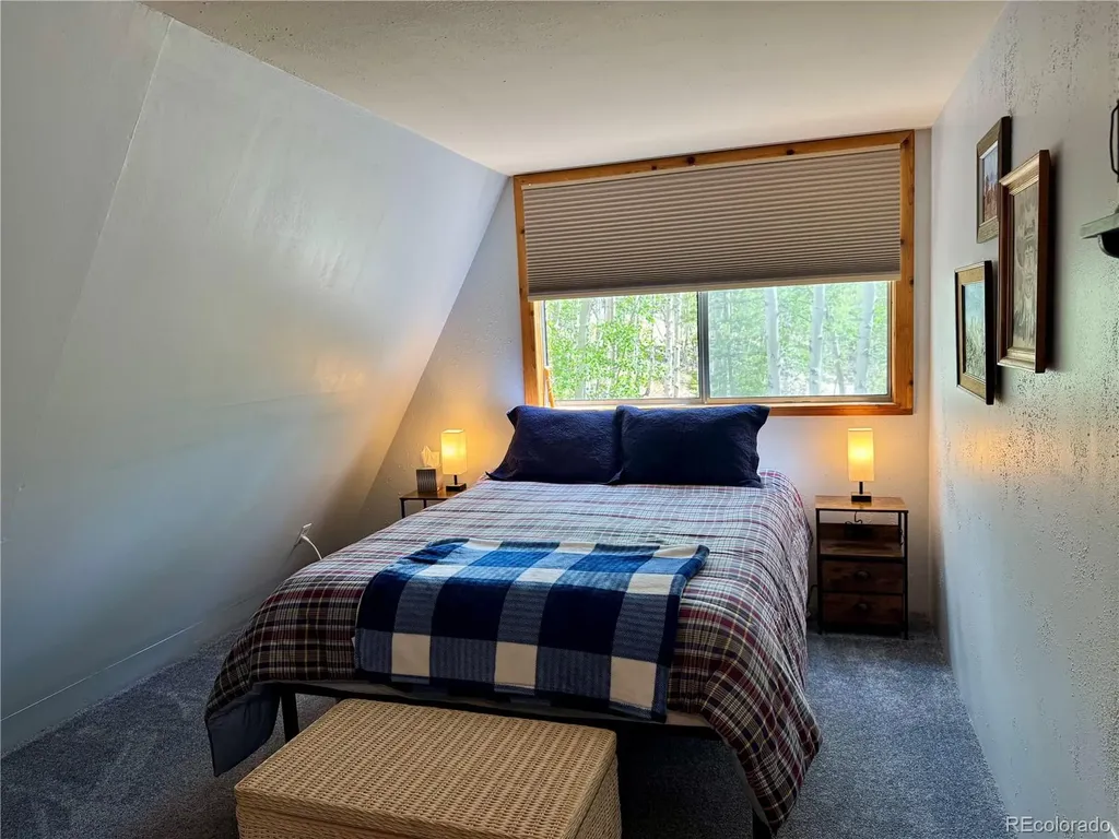 206 Empire Circle Leadville CO 80461