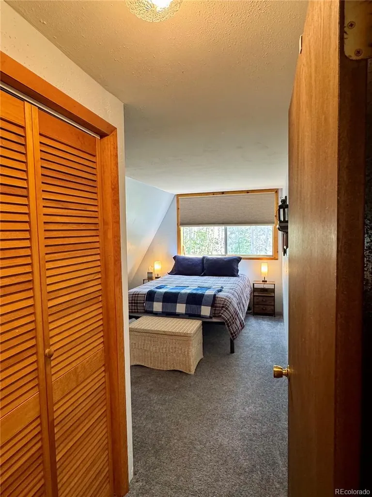 206 Empire Circle Leadville CO 80461