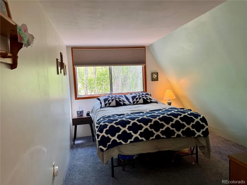 206 Empire Circle Leadville CO 80461