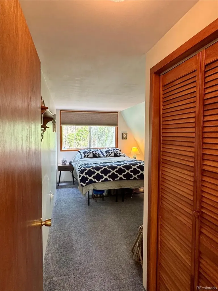 206 Empire Circle Leadville CO 80461