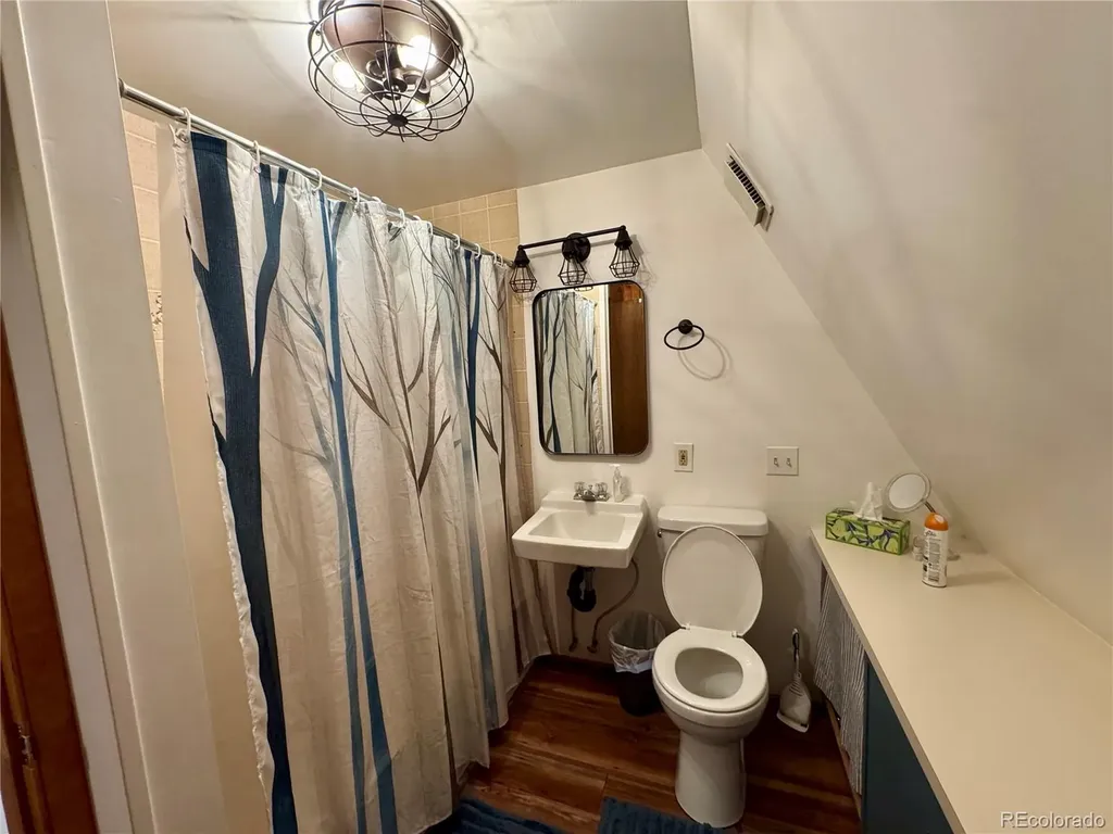 206 Empire Circle Leadville CO 80461