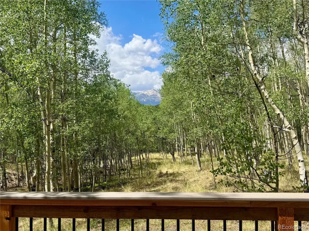 206 Empire Circle Leadville CO 80461
