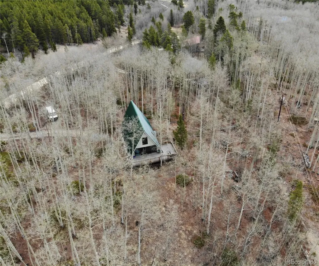 206 Empire Circle Leadville CO 80461