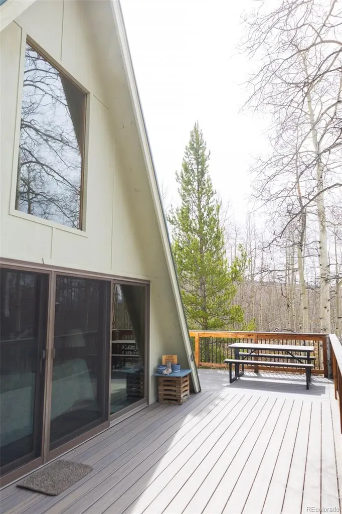 206 Empire Circle Leadville CO 80461