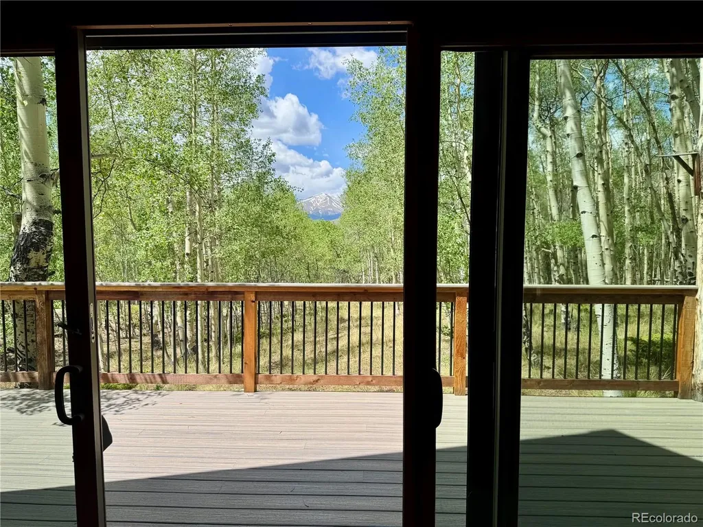 206 Empire Circle Leadville CO 80461