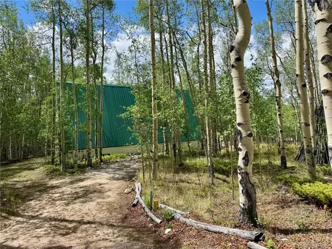 206 Empire Circle Leadville CO 80461