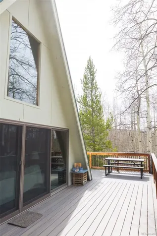 206 Empire Circle Leadville CO 80461