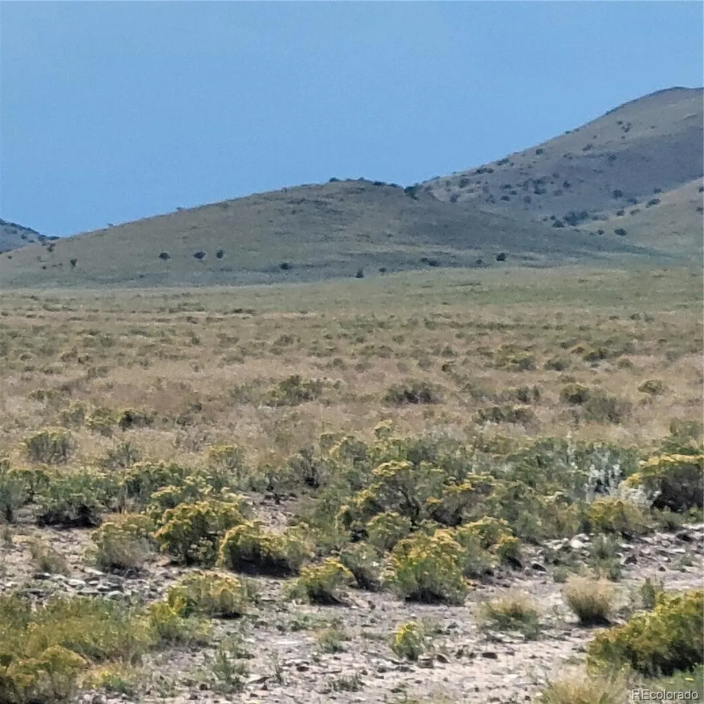 40 Ac 1st Street Melby Ranchettes San Luis CO 81152