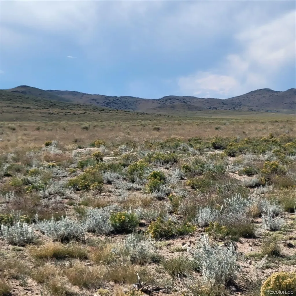 40 Ac 1st Street Melby Ranchettes San Luis CO 81152
