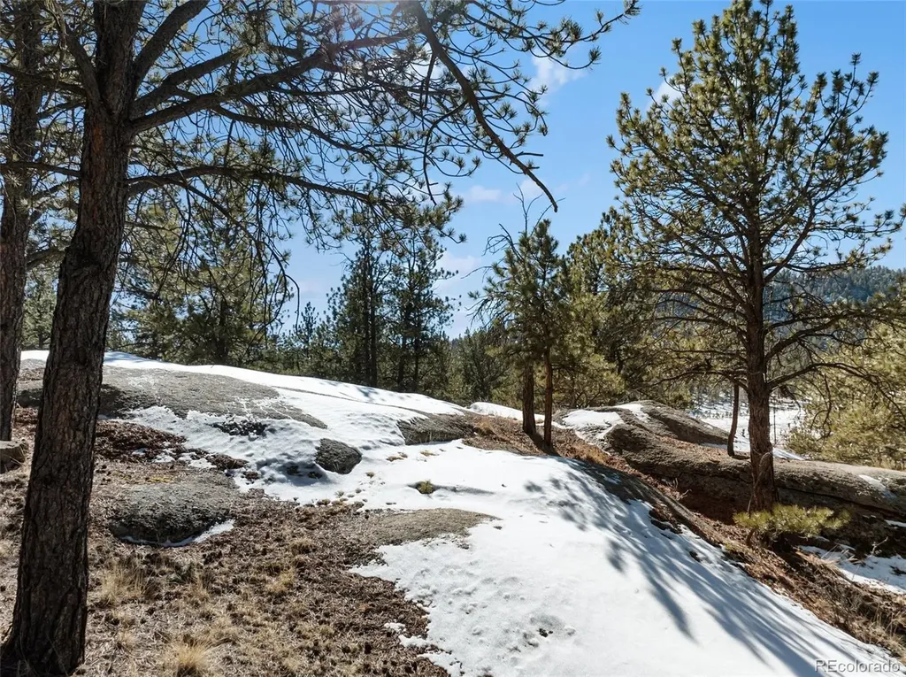 10448 Cr1 Florissant CO 80816
