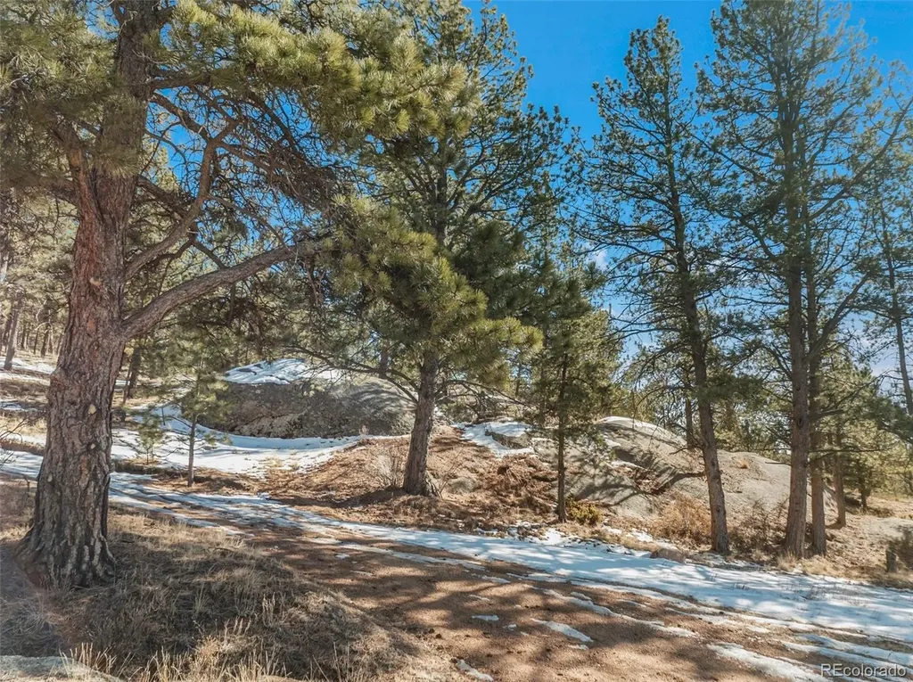 10448 Cr1 Florissant CO 80816