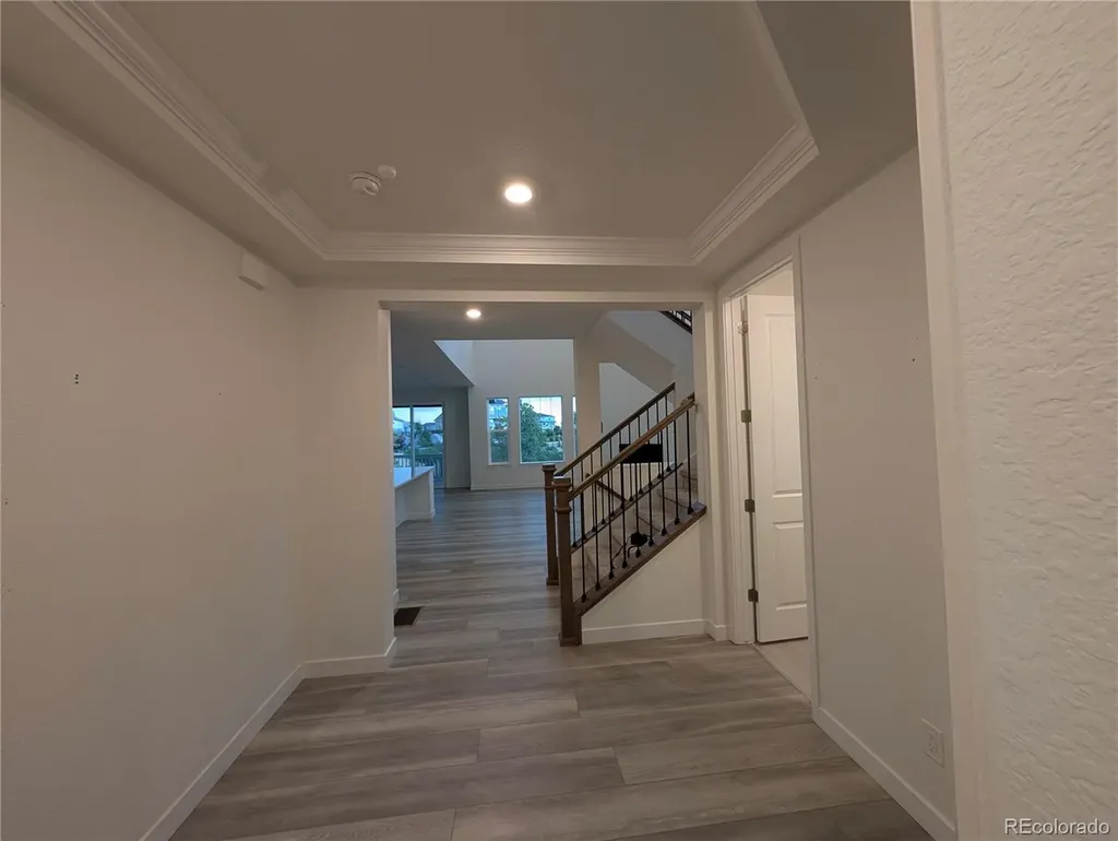3387 Fellswoop Court Castle Rock CO 80108