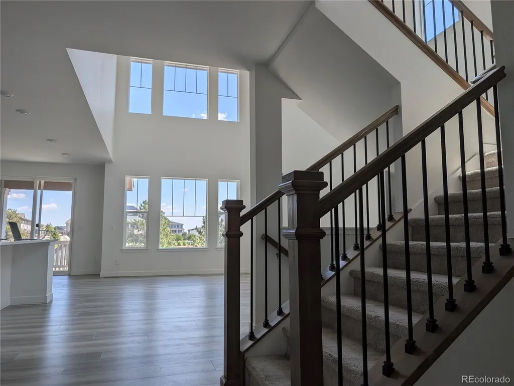 3387 Fellswoop Court Castle Rock CO 80108