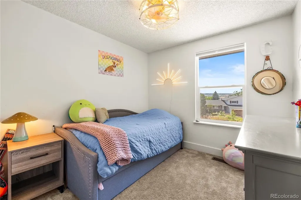 224 Hill Court Castle Rock CO 80104