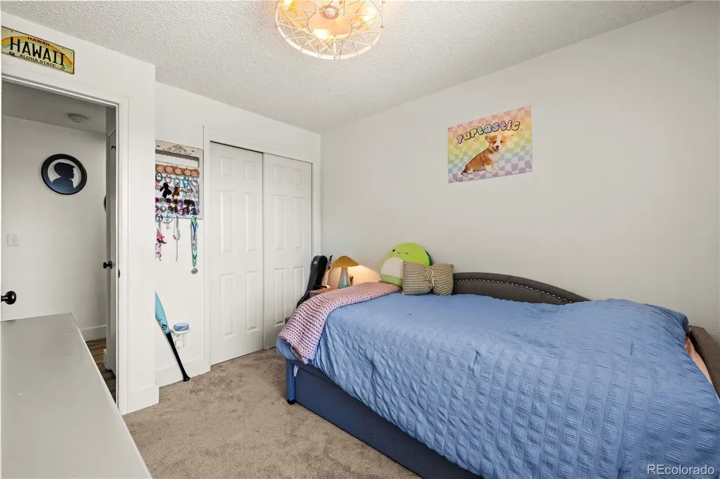 224 Hill Court Castle Rock CO 80104