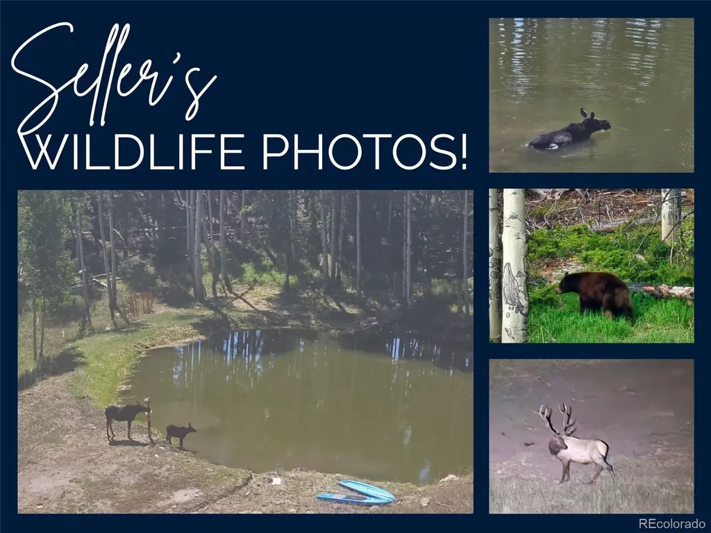 224 Six Elk Court Red Feather Lakes CO 80545