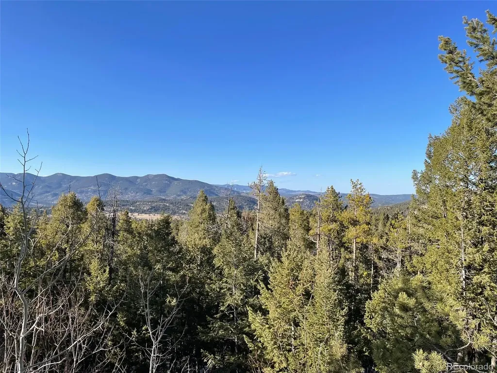 33131 Lynx Lane Evergreen CO 80439