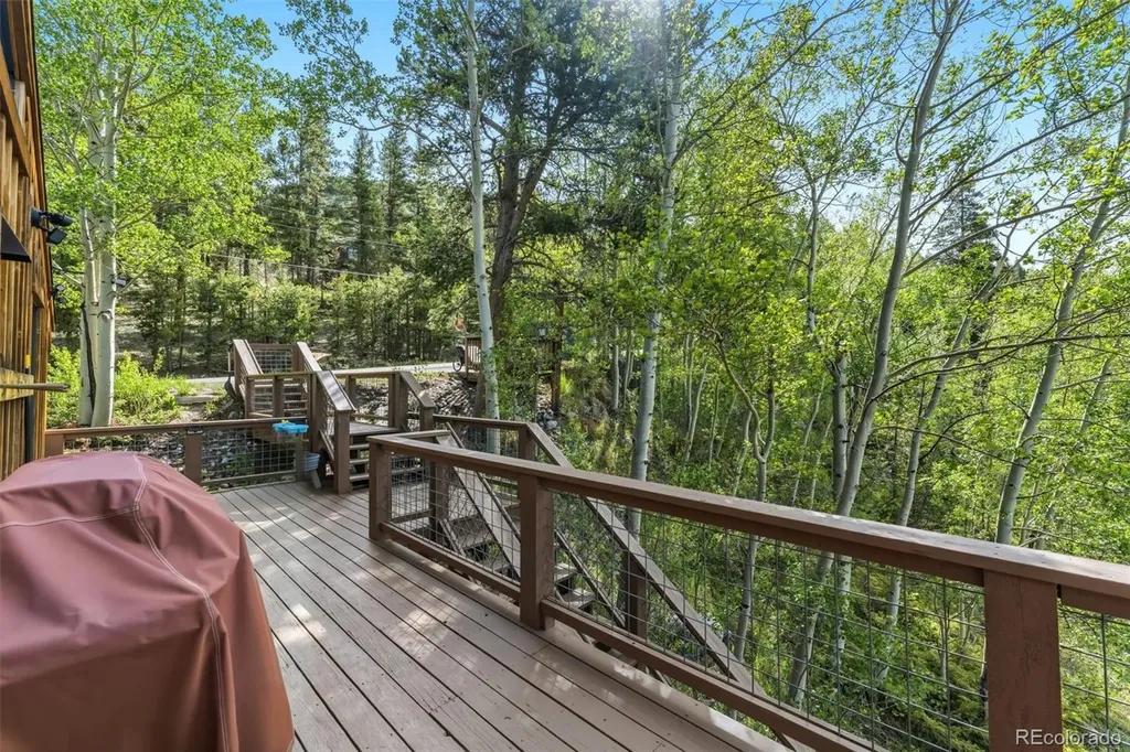 178 Indiana Creek Drive Breckenridge CO 80424