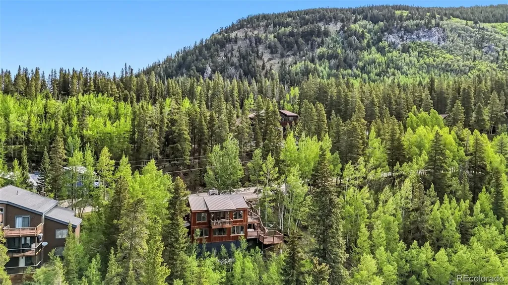 178 Indiana Creek Drive Breckenridge CO 80424