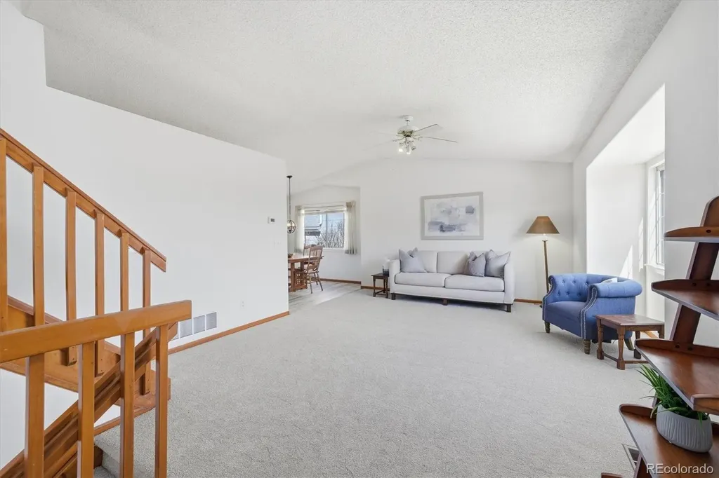 133 Rockaway Castle Rock CO 80104