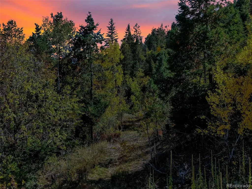 5295 Kulsa Road Cascade CO 80809