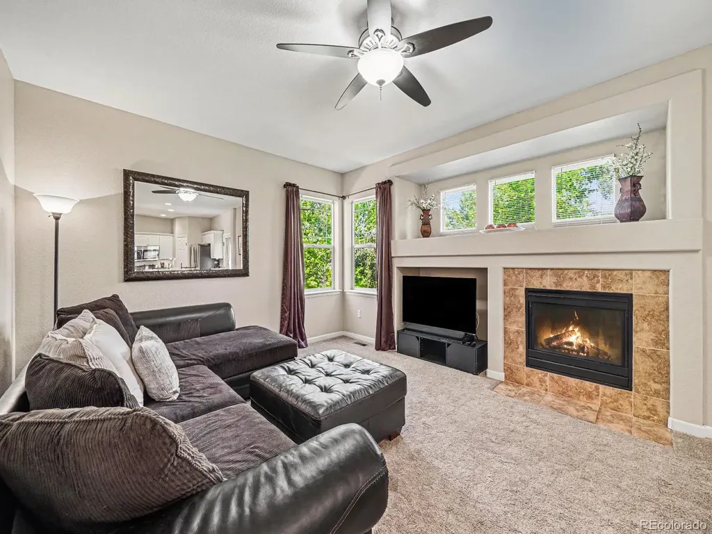4471 Tanglevine Drive Castle Rock CO 80109