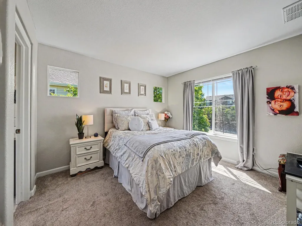 4471 Tanglevine Drive Castle Rock CO 80109