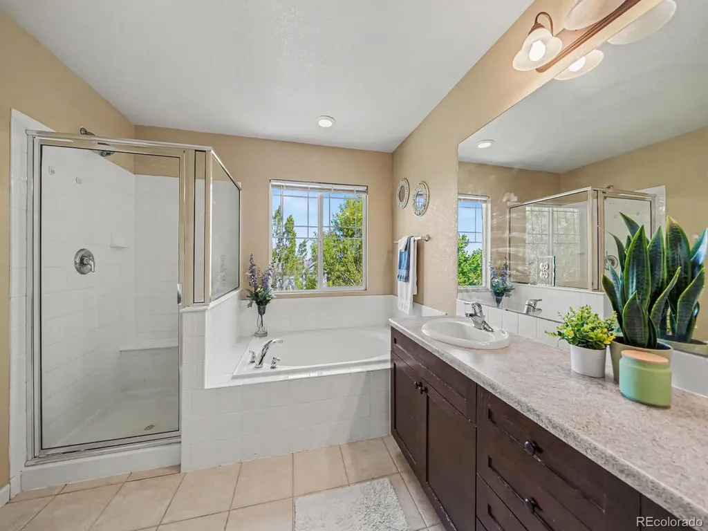 4471 Tanglevine Drive Castle Rock CO 80109