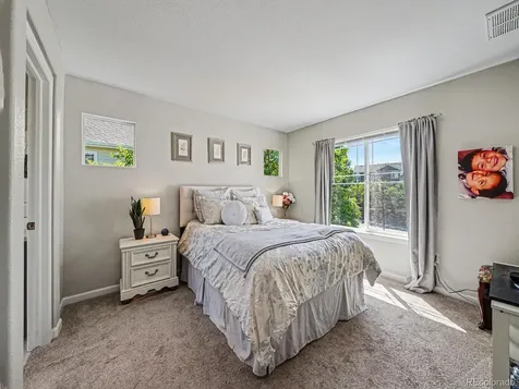 4471 Tanglevine Drive Castle Rock CO 80109