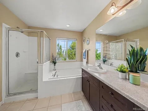 4471 Tanglevine Drive Castle Rock CO 80109
