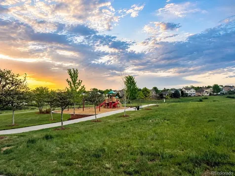 4471 Tanglevine Drive Castle Rock CO 80109