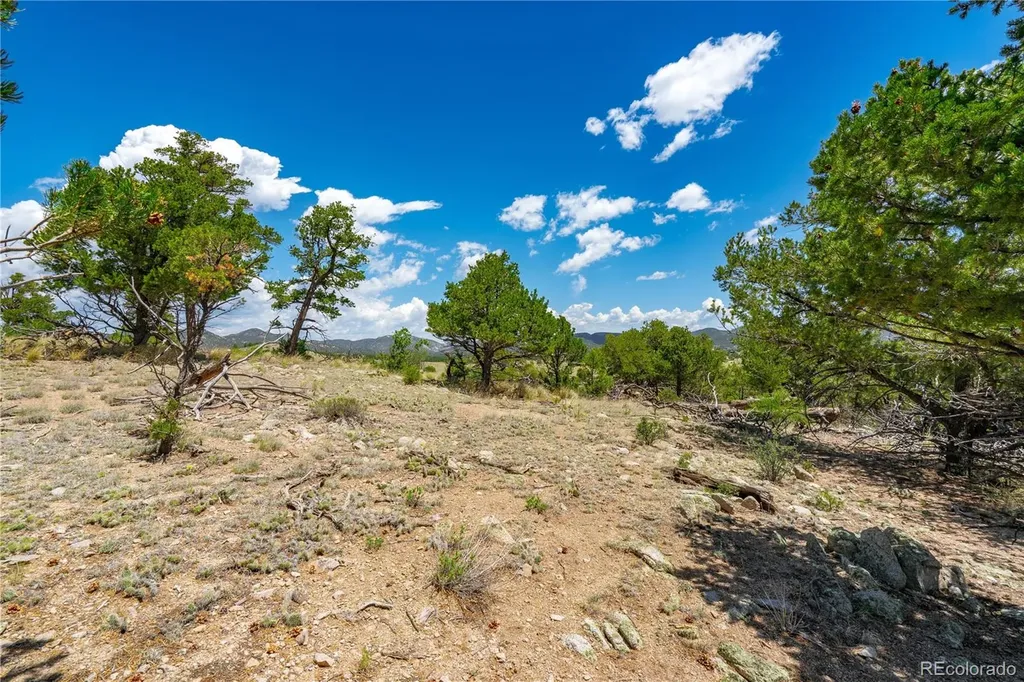 896 Shannon Trail Cotopaxi CO 81223
