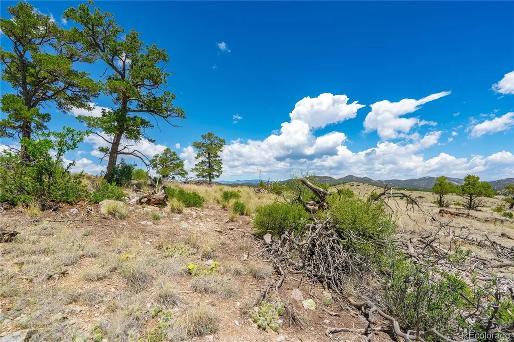 896 Shannon Trail Cotopaxi CO 81223