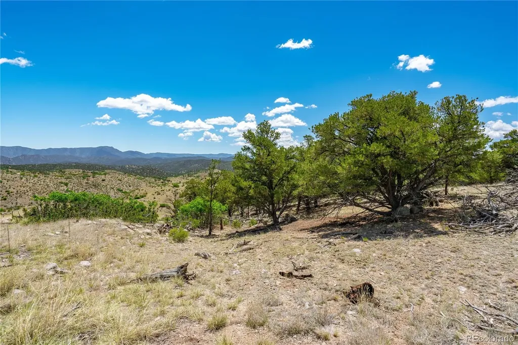 896 Shannon Trail Cotopaxi CO 81223